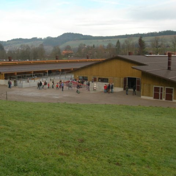 2009 – Schweinescheune Heimstätte Bärau